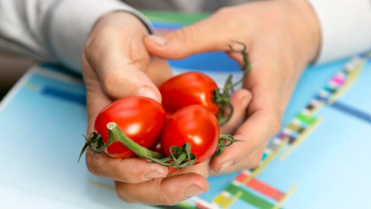 Ghid pentru aplicarea tehnicii Pomodoro în muncă și studiu
