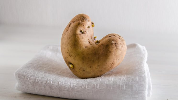Cartoful crud, sursa naturală de enzime benefice și vitamine