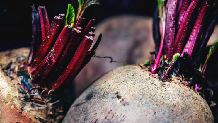 Sfecla roșie fiartă, sursă naturală de antioxidanți și minerale