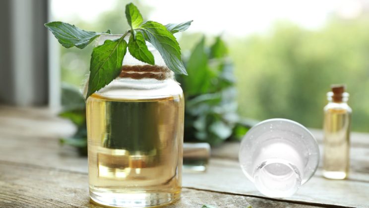 Cum uleiul de oregano sălbatic combate infecțiile și susține sănătatea respiratorie