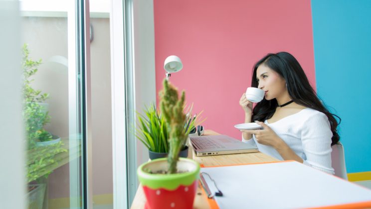 Amenajarea unui colț verde în biroul de la job sau de acasă