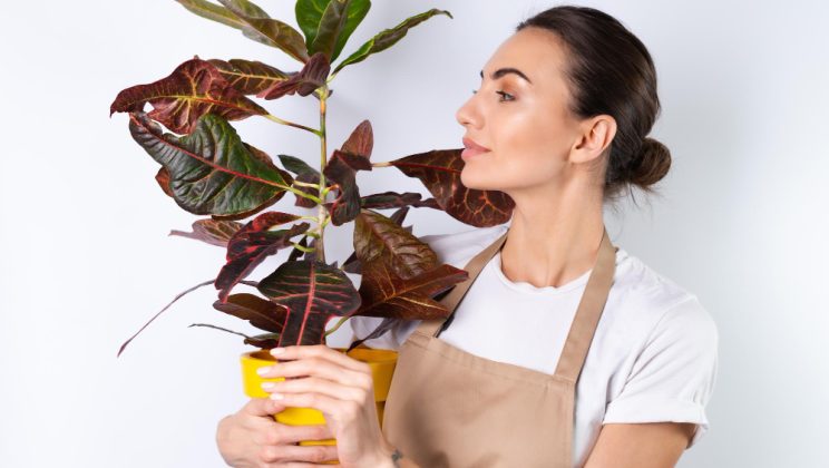 Soluții naturale pentru îngrijirea plantelor